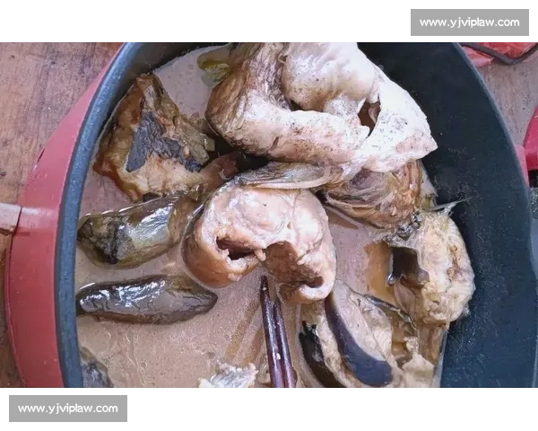 钓获 1.1 米巨鲶后放生：乐山男子用行动诠释生态垂钓新境界